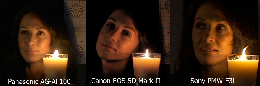 Screen caputure of AF100, 5D, and F3 side by side
